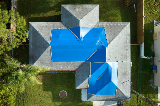 Best Roof Moss and Algae Removal  in Big Bear Lake, CA