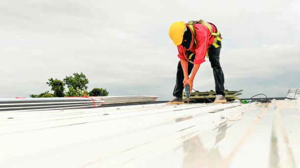 Best Roof Insulation Installation  in Big Bear Lake, CA